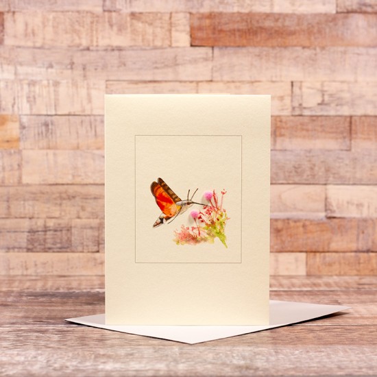 Hummingbird Hawk Moth card