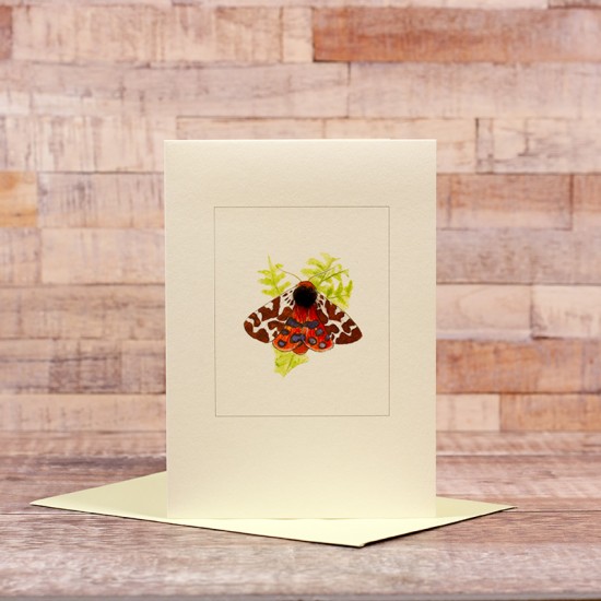 Garden Tiger Moth card