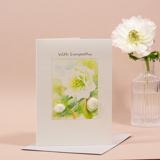 Hellebore Sympathy card